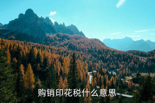 什么是購銷印花稅，購銷印花稅什么意思