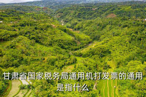 山西省稅務(wù)局六最是指什么，甘肅省國家稅務(wù)局通用機(jī)打發(fā)票的通用是指什么
