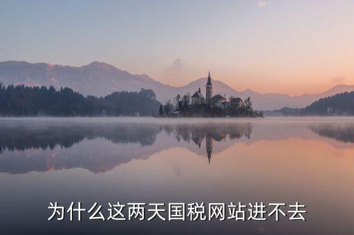 為什么濟(jì)南國(guó)稅網(wǎng)站進(jìn)不去，為什么這兩天國(guó)稅網(wǎng)站進(jìn)不去