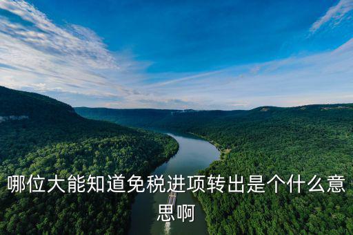 進(jìn)項(xiàng)轉(zhuǎn)出是什么意思，哪位大能知道免稅進(jìn)項(xiàng)轉(zhuǎn)出是個什么意思啊