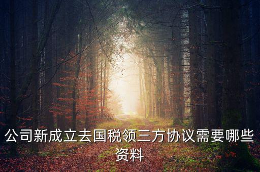 稅務(wù)簽三方協(xié)議需要帶什么，公司新成立去國(guó)稅領(lǐng)三方協(xié)議需要哪些資料