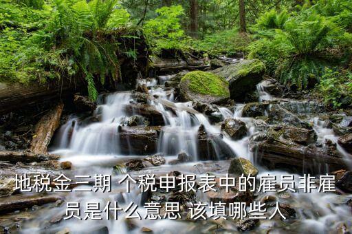 個稅申報(bào)人員是什么，地稅金三期 個稅申報(bào)表中的雇員非雇員是什么意思 該填哪些人