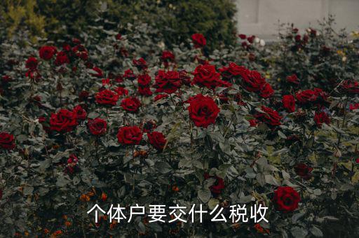 新開個體戶要交什么稅，我想開個小店當(dāng)個體戶請問要交什么稅