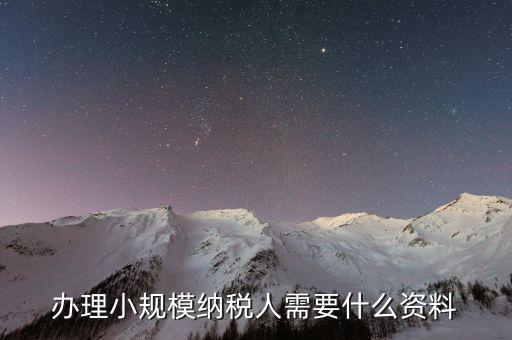 小規(guī)模報(bào)稅需要帶什么資料，小規(guī)模納稅人納稅申報(bào)時(shí)需要哪些資料