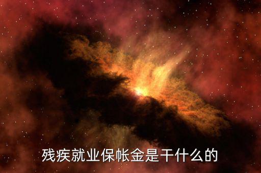 殘疾人保障金有什么用，殘疾就業(yè)保帳金是干什么的