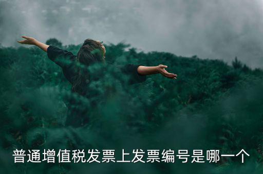增值稅編號是什么，普通增值稅發(fā)票上發(fā)票編號是哪一個