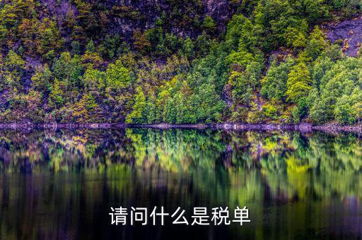 納稅申報(bào)單是什么，網(wǎng)上申報(bào)納稅都是什么報(bào)表 如何操作 簡(jiǎn)單么