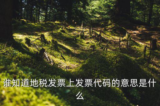 河北地稅發(fā)票的查詢碼是什么意思，如何查詢地稅發(fā)票開票點注冊碼是什么