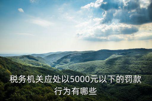 稅務局行為罰款是什么，稅務機關應處以5000元以下的罰款行為有哪些