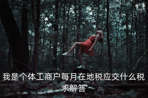 個體戶地稅局交什么稅，個體經(jīng)營戶地稅是按什么標準收費的