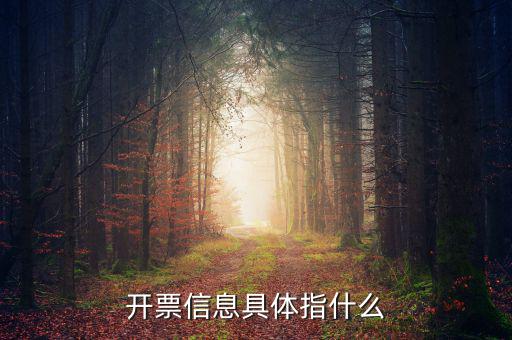 什么是開票信息，word開票信息是什么意思