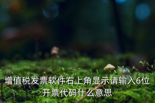 發(fā)票查詢校驗(yàn)碼后六位是什么，發(fā)票驗(yàn)證碼是什麼