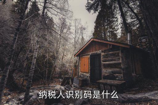 稅務(wù)識別碼有什么用，納稅人識別碼是什么
