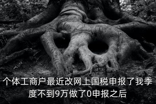 個(gè)體工商戶最近改網(wǎng)上國(guó)稅申報(bào)了我季度不到9萬做了0申報(bào)之后