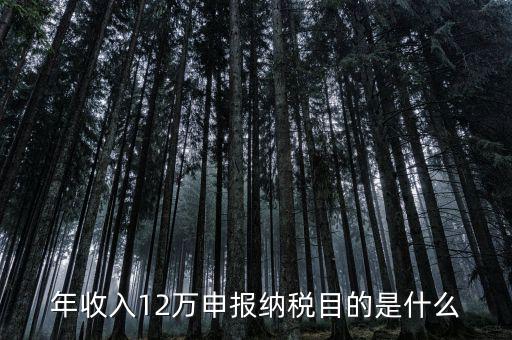 為什么12萬要報(bào)稅，年收入12萬個(gè)稅申報(bào)為什么要申報(bào)