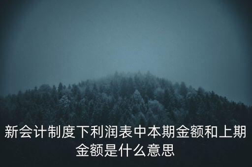 新會(huì)計(jì)制度下利潤表中本期金額和上期金額是什么意思