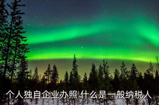 個人獨自企業(yè)辦照 什么是一般納稅人