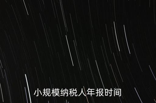 納稅申報(bào)年報(bào)什么時(shí)候，小規(guī)模納稅人年報(bào)時(shí)間