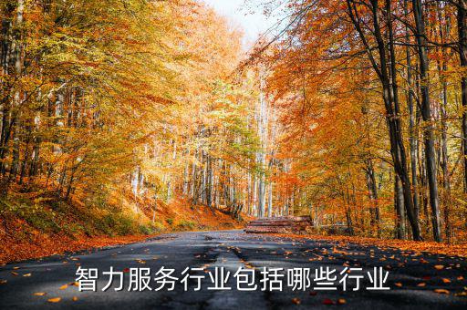 涉稅專業(yè)服務機構包括什么，智力服務行業(yè)包括哪些行業(yè)