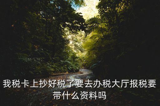 報(bào)稅廳抄報(bào)需要帶什么資料，抄稅需要帶些什么資料