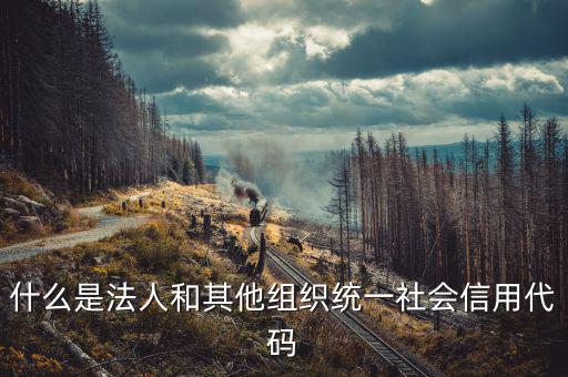 統(tǒng)一社會(huì)信用碼是什么意思，深圳碼統(tǒng)一社會(huì)信用代碼是什么