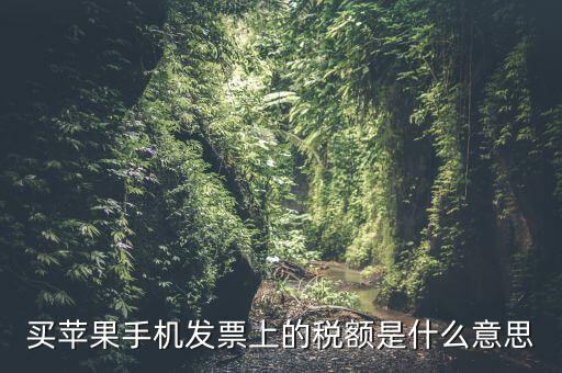 發(fā)票上的稅額是什么意思，買蘋果手機(jī)發(fā)票上的稅額是什么意思