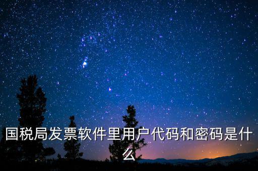 登錄稅務開票密碼是什么，國稅第一次網(wǎng)上申報的登陸密碼是什么