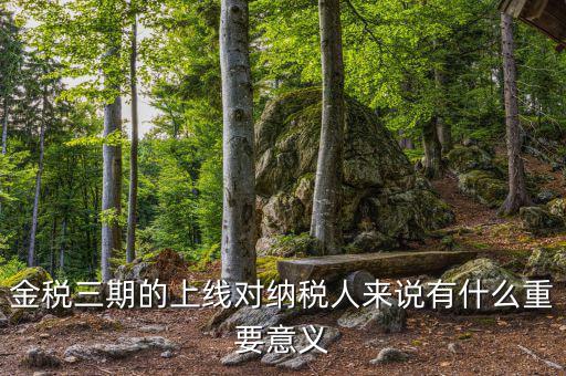 金三稅系統(tǒng)什么時間上線的，2016年金稅三期上線那金稅三期到底是啥呢