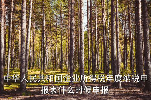 國稅企業(yè)所得稅什么時候申報，企業(yè)所得稅申報時間