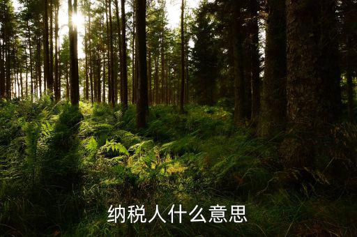 納稅資格什么意思，具有納稅人資格是什么意思