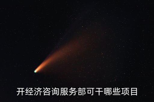 咨詢服務有什么進項，開經(jīng)濟咨詢服務部可干哪些項目