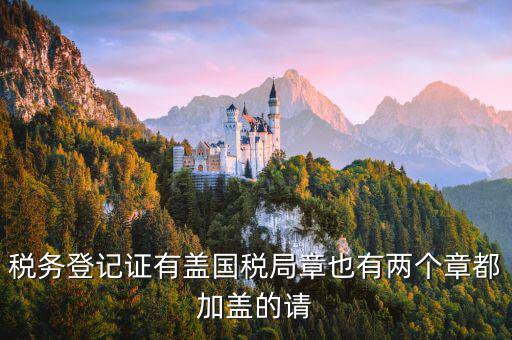 財稅證書什么樣，娛樂場所稅務登記證是什么樣子