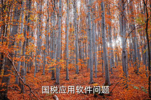 國稅發(fā)票助手是什么，國稅應用軟件問題