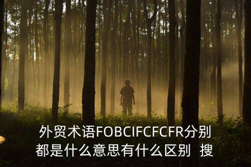 什么是被指定國別報告，什么是SGS