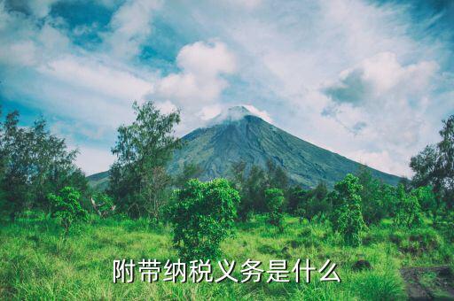 納稅資格附件是什么，附帶納稅義務(wù)是什么