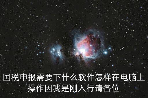 國稅申報(bào)需要下什么軟件怎樣在電腦上操作因我是剛?cè)胄姓?qǐng)各位