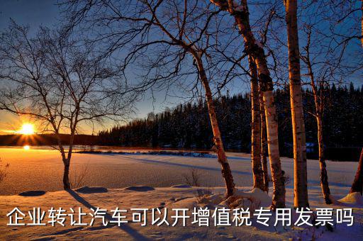 單位二手車轉(zhuǎn)讓未抵稅車開什么票，小企業(yè)出售二手車沒開發(fā)票要付什么憑證