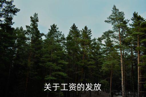 為什么沒有稅務(wù)帽，跑跑卡丁車怎么玩
