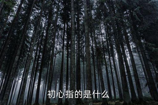 稅務人 初心是什么，納稅人意識是什么謝謝