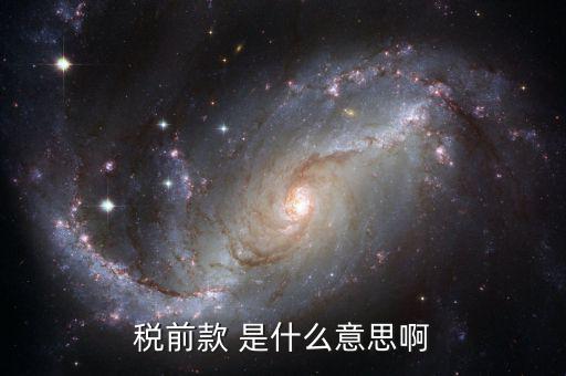 稅前金額是什么意思，稅前款 是什么意思啊
