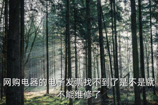 為什么電子發(fā)票找不到了，網(wǎng)購電器的電子發(fā)票找不到了是不是就不能維修了