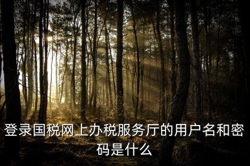 國稅網(wǎng)上登錄密碼是什么意思，國稅第一次網(wǎng)上申報的登陸密碼是什么
