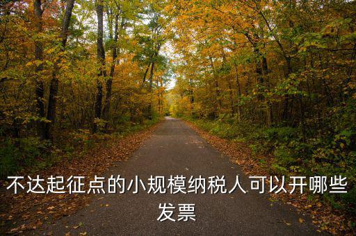 小規(guī)模納稅人能使用什么發(fā)票，建筑類小規(guī)模納稅人購買什么發(fā)票