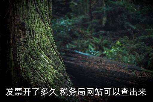 稅局一般什么時(shí)候查發(fā)票，增值稅發(fā)票開多久能在國(guó)家稅務(wù)局查到