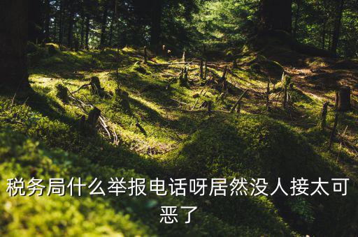 什么叫稅務舉報，稅務局什么舉報電話呀居然沒人接太可惡了