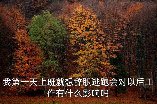 公司走逃會有什么后果，企業(yè)走逃對財務(wù)有甚么影響