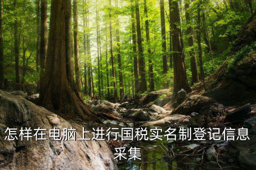 國稅采集需要什么資料，我想問一下報國稅時有個發(fā)票信息采集在里面輸入什么信息呢