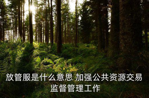 國稅放管服什么意思，放管服是什么意思 加強(qiáng)公共資源交易 監(jiān)督管理工作