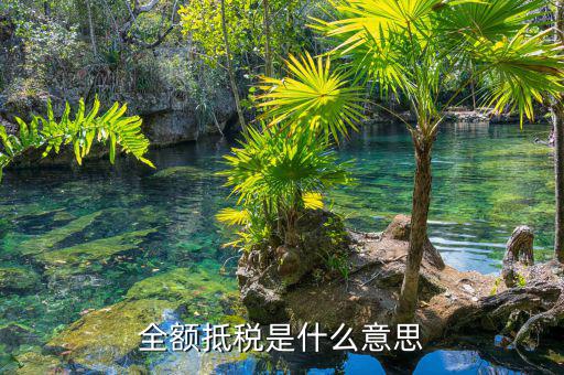 什么叫全額抵p，增值稅的全額抵扣是什么意思