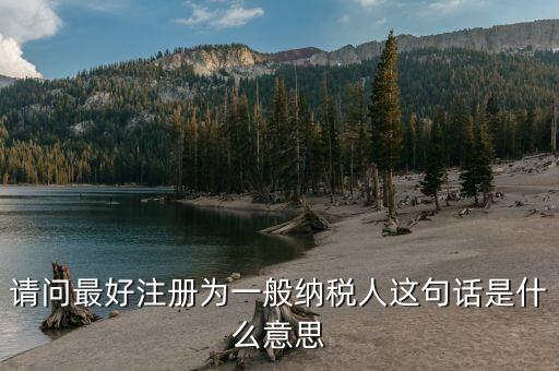 納稅資格是什么意思，具有納稅人資格是什么意思